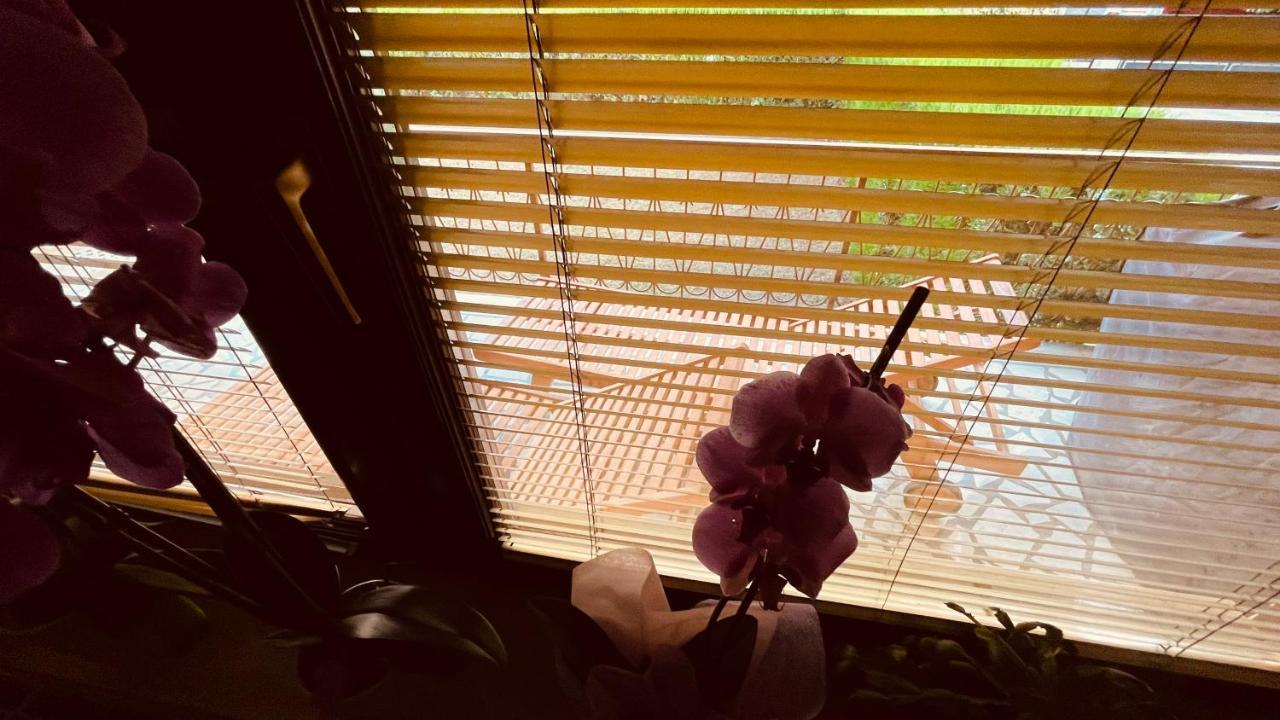 شقة The Secret Orchid روفينج المظهر الخارجي الصورة