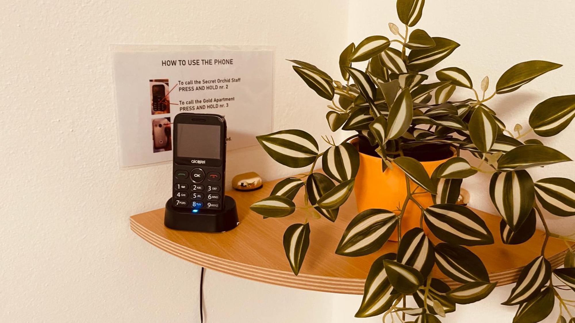 شقة The Secret Orchid روفينج المظهر الخارجي الصورة